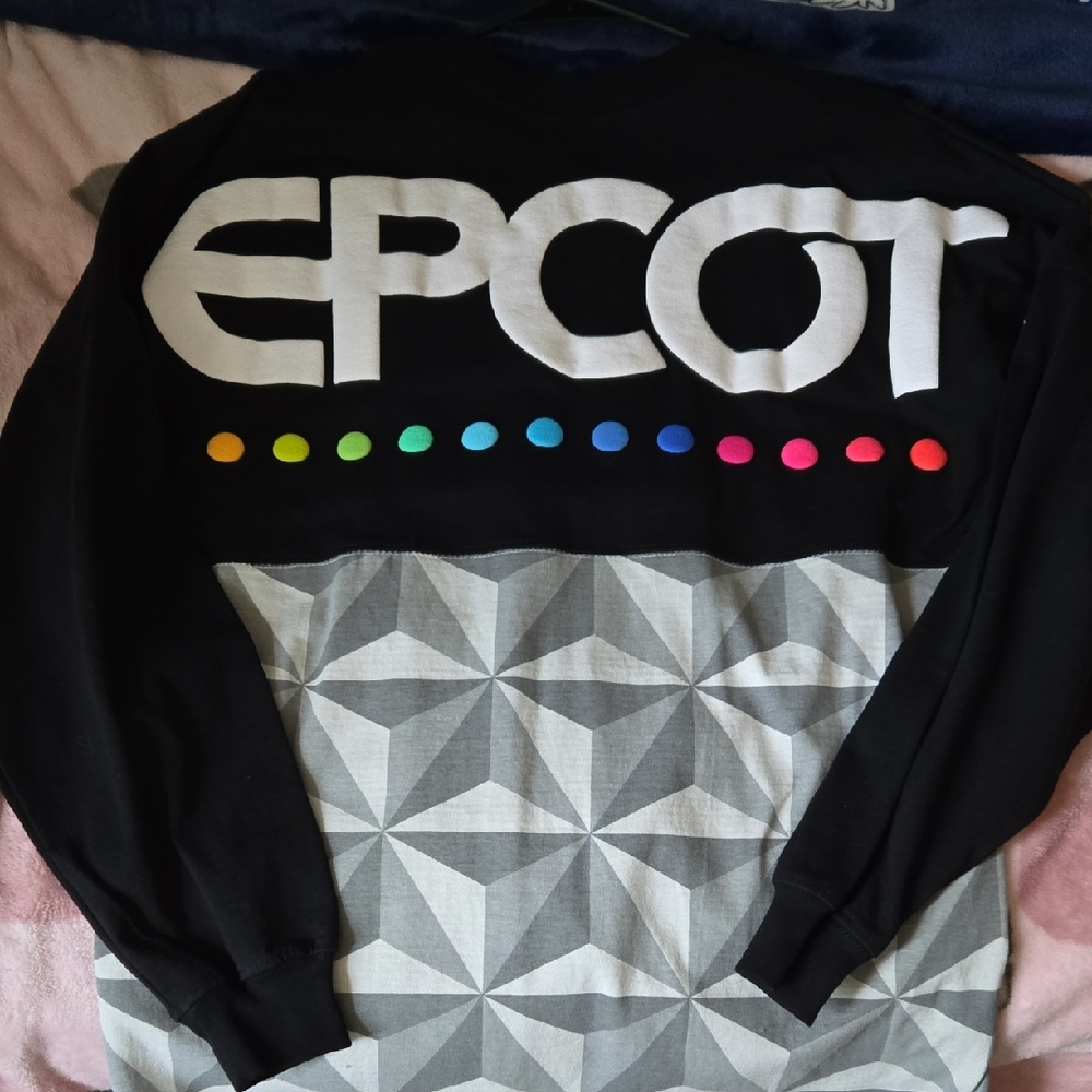 Disney Black and Gray Epcot Men's Spirit Jersey